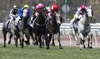 Racing at Flemington